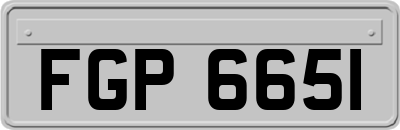 FGP6651