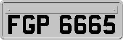 FGP6665