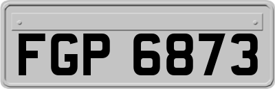 FGP6873