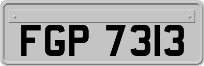 FGP7313