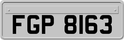FGP8163