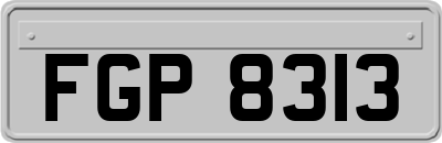 FGP8313