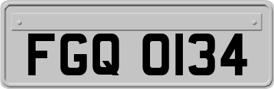FGQ0134