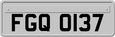 FGQ0137