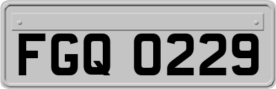 FGQ0229