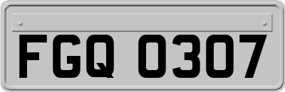 FGQ0307