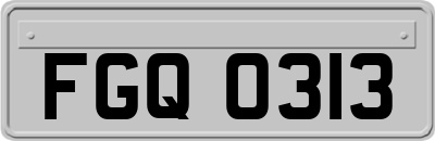 FGQ0313