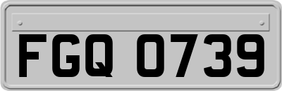 FGQ0739
