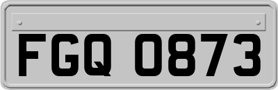 FGQ0873