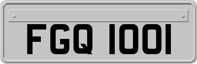 FGQ1001