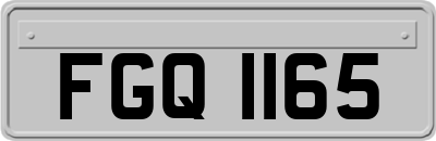 FGQ1165