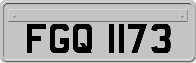 FGQ1173