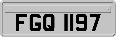 FGQ1197