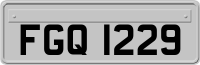 FGQ1229