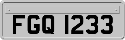 FGQ1233