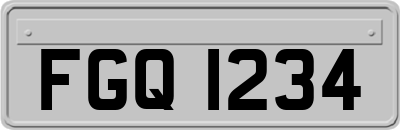 FGQ1234