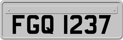FGQ1237