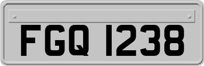 FGQ1238