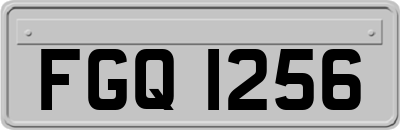 FGQ1256