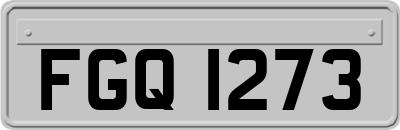 FGQ1273