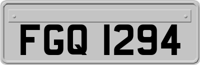 FGQ1294