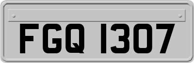 FGQ1307