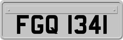 FGQ1341