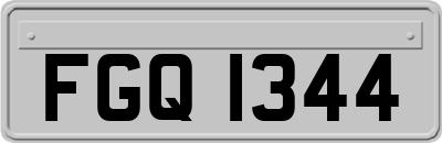 FGQ1344