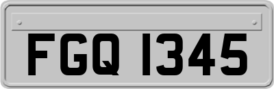 FGQ1345