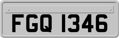 FGQ1346