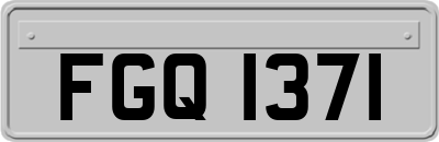 FGQ1371