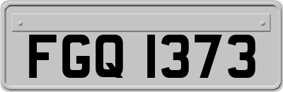 FGQ1373