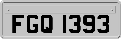 FGQ1393