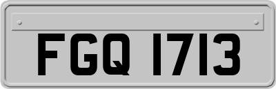 FGQ1713