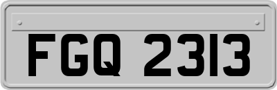 FGQ2313