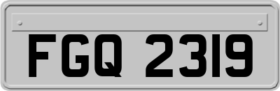 FGQ2319