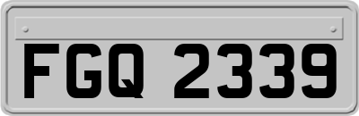 FGQ2339