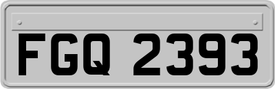 FGQ2393