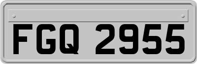 FGQ2955