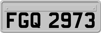 FGQ2973