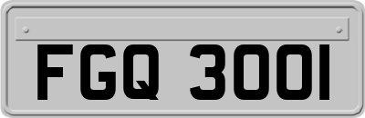 FGQ3001