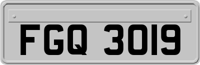 FGQ3019