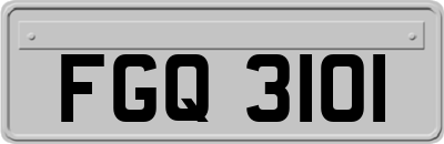 FGQ3101