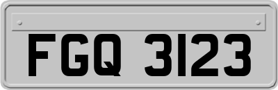 FGQ3123
