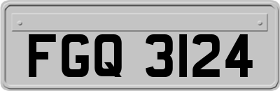 FGQ3124