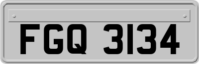 FGQ3134