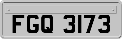 FGQ3173