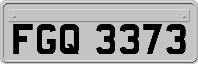 FGQ3373