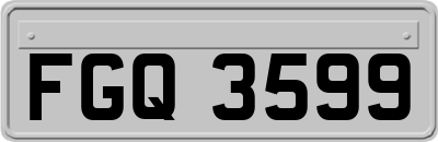 FGQ3599