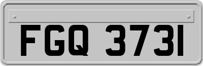FGQ3731